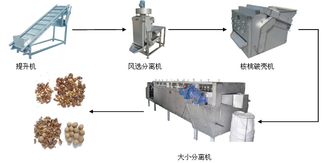 核桃仁破壳取仁生产线.jpg