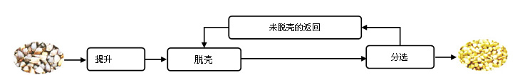 苦荞麦生产工艺流程图-4.jpg 苦荞麦生产工艺流程图-4.jpg